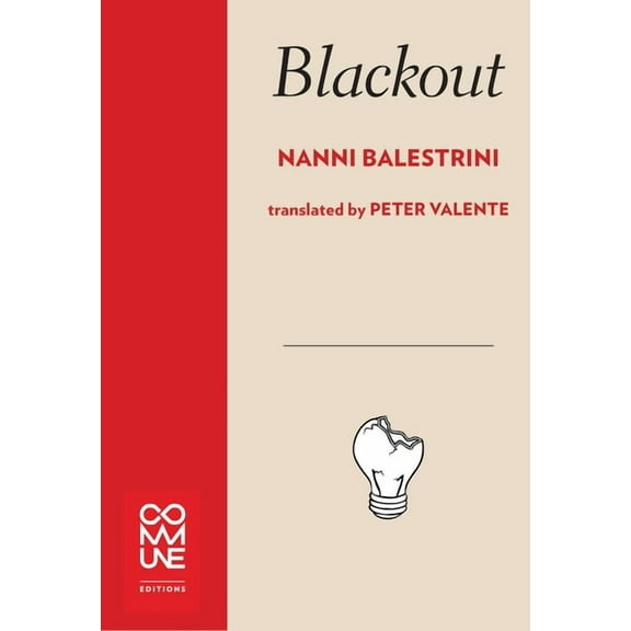 Blackout (Paperback)