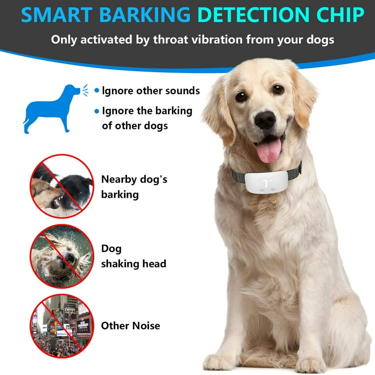 Bark activated sale collar