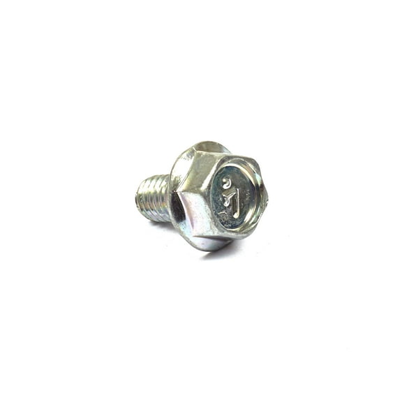 Briggs & Stratton Screw | 841233