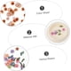thumbnail image 2 of 8 Boxes Nail Art Stickers Nail Sequins Flower Sticker Nail Stickers for Nail Art Flower Nail Art Sequins Daisies Nail Sequins Flower Nail Stickers Nai, 2 of 4