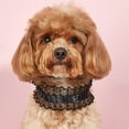 thumbnail image 3 of CBFFDC Ruffled Edge Pet Collar Sweet Lace Princess Style Pet Collar Faux Pearl Ethnic Embroidery Ruffled Design Breathable Grooming Tool, 3 of 7