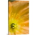 thumbnail image 1 of Great BIG Canvas | "Macro of inside an Icelandic poppy during Summer" Canvas Wall Art - 32x48, 1 of 2