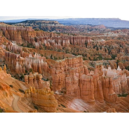 Hoodoo Rock Formations in a Canyon from Sunset Point, Bryce Canyon National Park, Utah, Usa Print Wall Art By Green Light