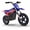 Blue, variant on RFN Warrior Kids150 24V Kids Electric Dirt Bike, 150W Motor, 2-Speed Modes, 8 MPH Max Speed, Removable 5.2Ah Battery, 12x2.4" Off-Road Tires, Rear Disc Brake
