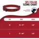 thumbnail image 2 of Collar De Acción Impermeable Para Perros | Collar De Perro, 2 of 8