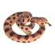 thumbnail image 5 of Serpiente de broma, serpiente de cascabel falsa, serpientes de plástico de colores realistas, juguetes complicados, integración perfecta, 5 of 14