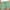 Green, variant on POTETI High Waisted Cargo Shorts for Women Wide Leg Lounge Shorts Women Blue Drawstring Solid Casual with Pockets Shorts