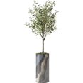 thumbnail image 4 of Artificial Tree in Modern Planter, Fake Olive Silk Tree for Indoor and Outdoor Home Decoration - 68" Overall Tall (Plant Pot Plus Tree), 4 of 5