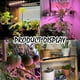 thumbnail image 5 of Lámpara solar de imitación con clip USB para el crecimiento de plantas, atenuación, sincronización, espectro completo, plantación en interiores, luz suplementaria para plántulas, 5 of 5