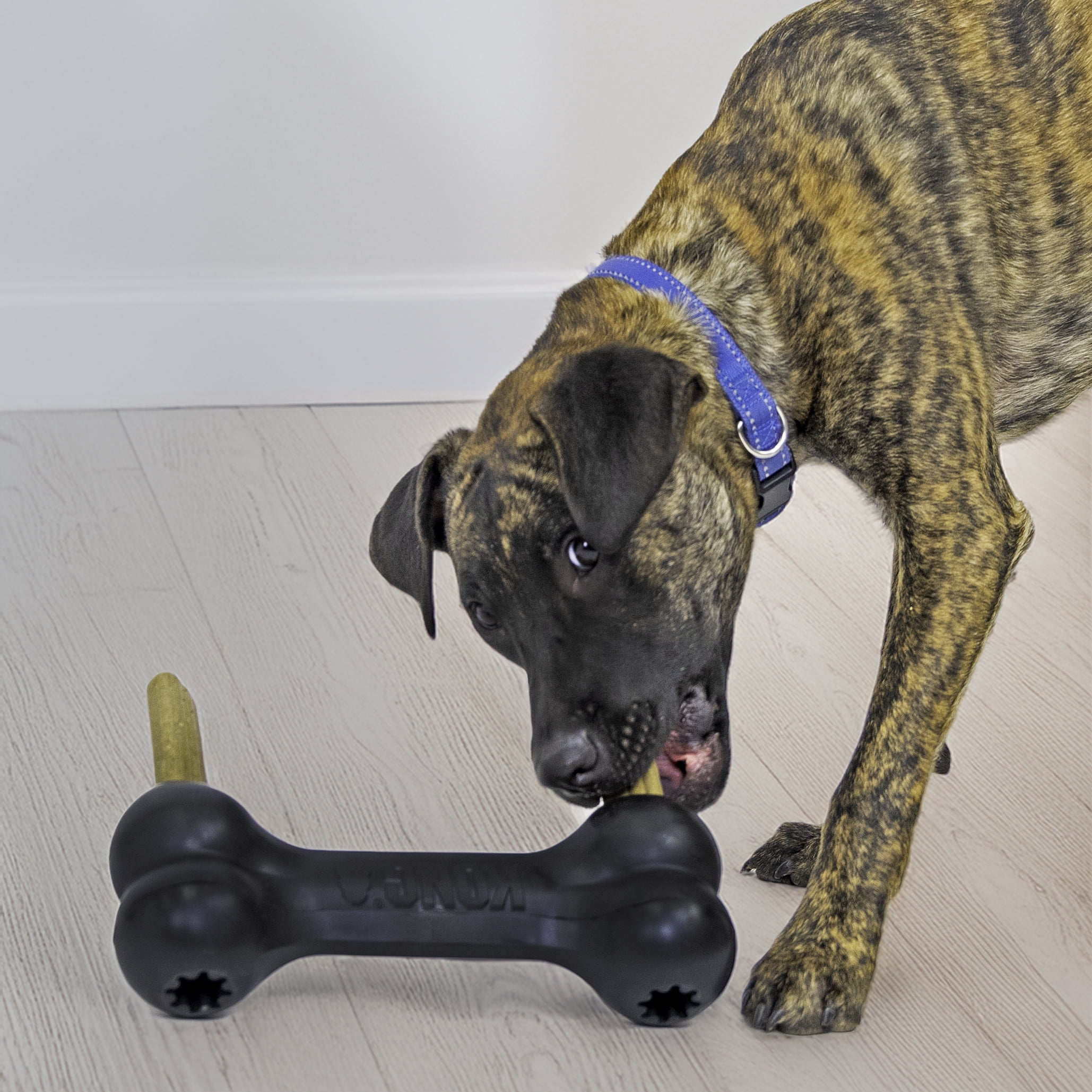 KONG® Extreme Rubber Goodie Bone for Power Chewers, Extra Large for Dogs Between 60-90 lbs