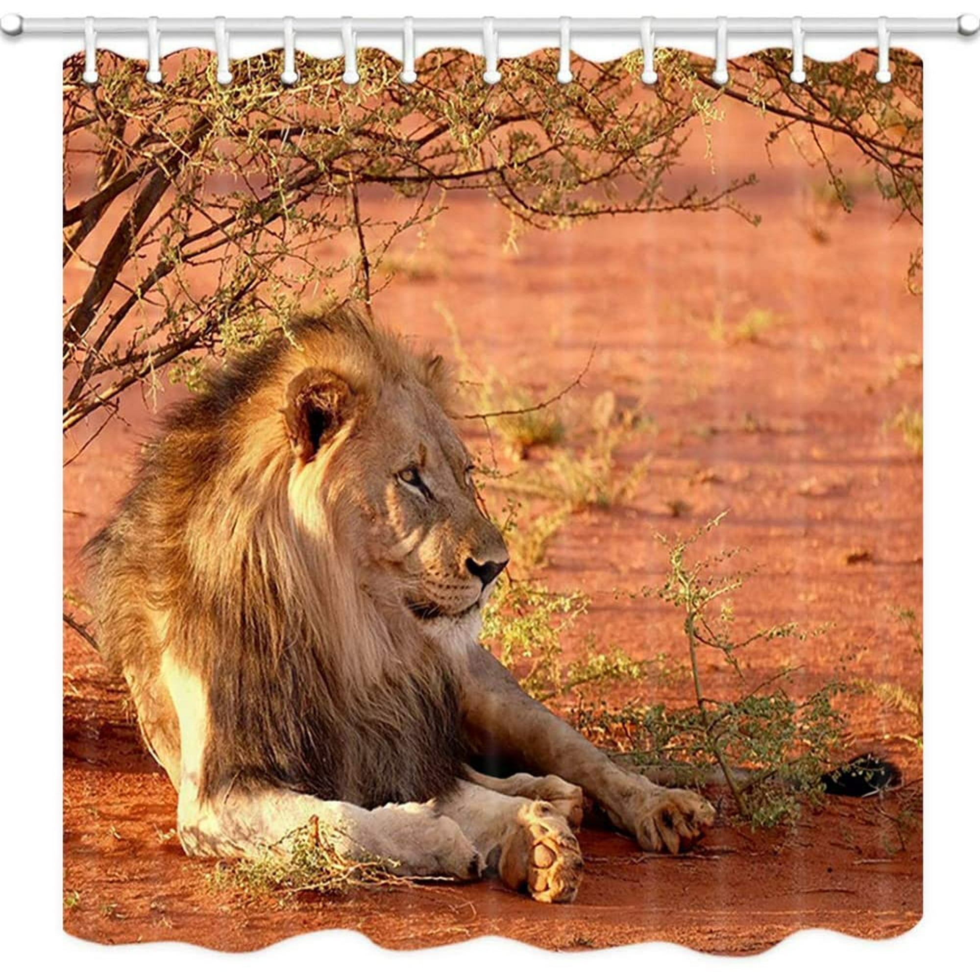 African Wild Animal Lion Shower Curtain, Safari Animals Lion Lying in Wood BranchesBath Curtain, Polyester Fabric Shower Curtains for Bathroom, 69X70in, Hooks Included (Multi6) | Walmart Canada African Wild Animal Lion Shower Curtain, Safari Animals Lion Lying in Wood BranchesBath Curtain, Polyester Fabric Shower Curtains for Bathroom, 69X70in, Hooks Included (Multi6) | Walmart Canada