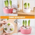 thumbnail image 3 of HAMPPLIES 2Pcs Assorted Color Hydroponic Planter Pot for Tulip Daffodil and Narcissus Bulbs, 3 of 8