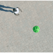 Wahu Sonic Shock Ball Green Ultra-Bounce Ball Bounces up to 60 - Bounce & Catch 2.7 Ball