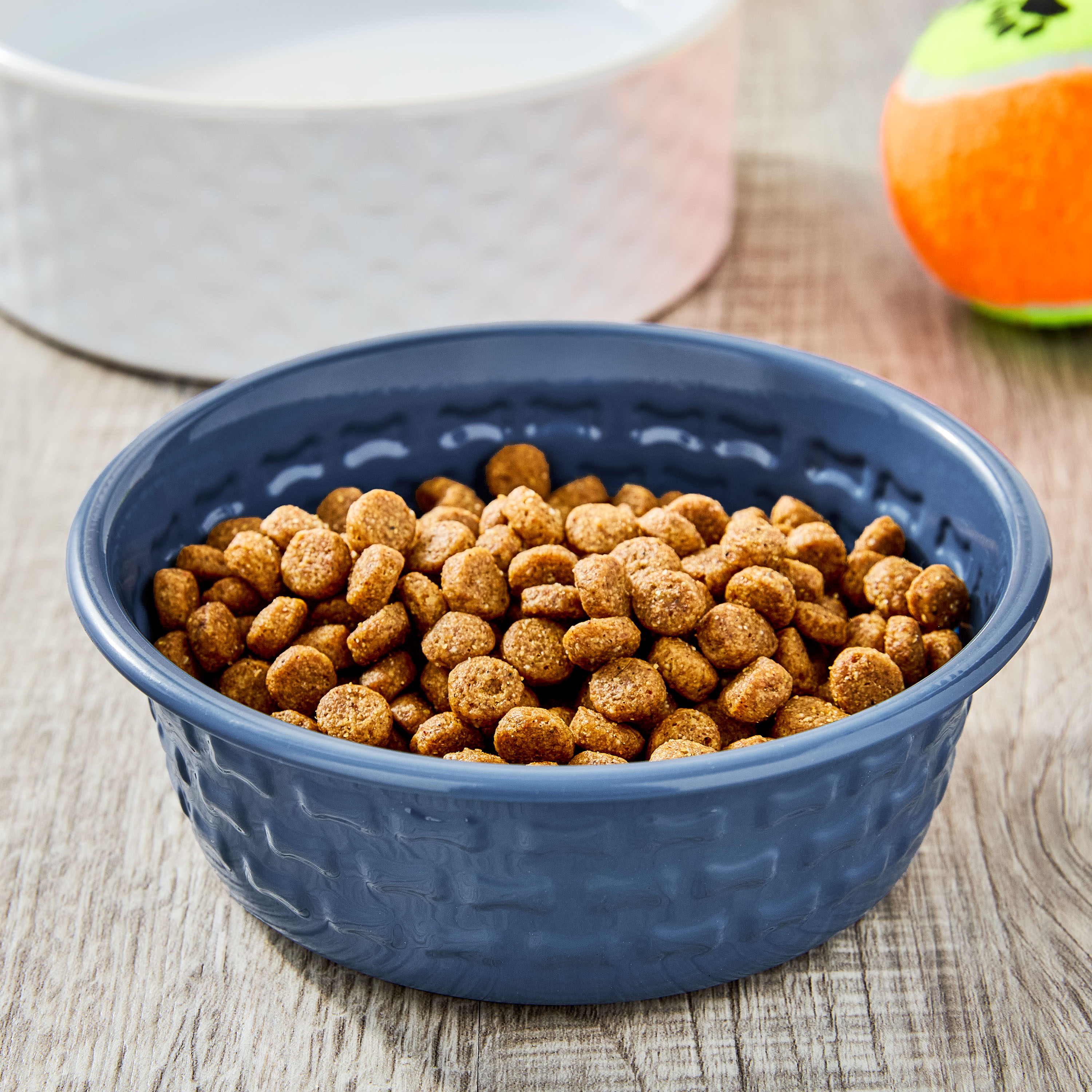 Vibrant Life Small Stainless Steel Embossed Dog Bowl, Blue Bones