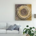 thumbnail image 3 of Trademark Fine Art 'Wooden Rings' Canvas Art by Albena Hristova, 3 of 3