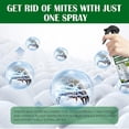 thumbnail image 3 of 2pcs Mite Killer Natural Spray Treatment For Mattresses, Covers, Carpets Furniture - Fast Extended Protection Pet Kids Safe No Toxins, 3 of 4