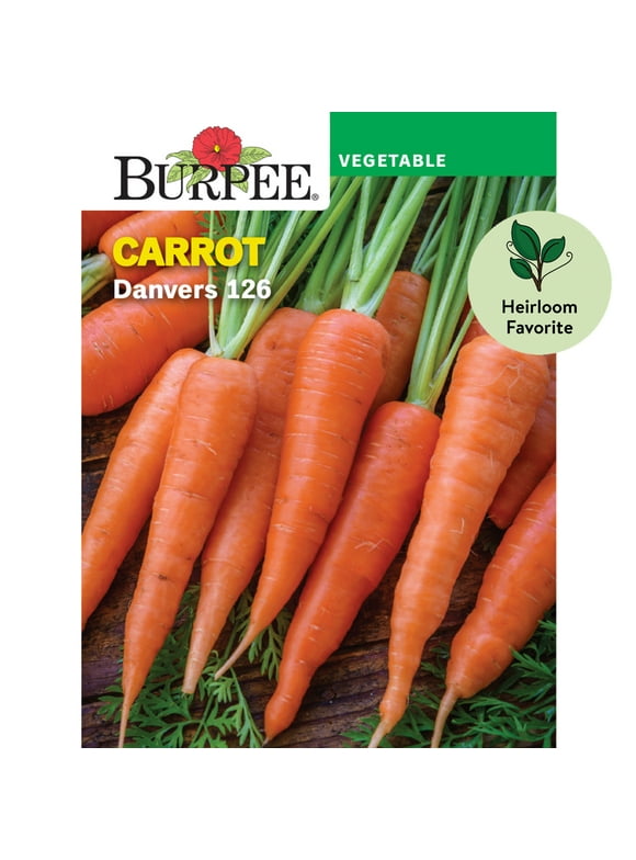 Burpee Danvers 126 Carrot Vegetable Seed, 1-Pack
