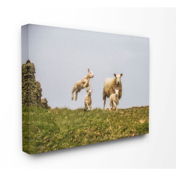 Stupell Industries Baby Sheep Family Farm Animal Landscape Photo Canvas Wall Art by Villager Jim
