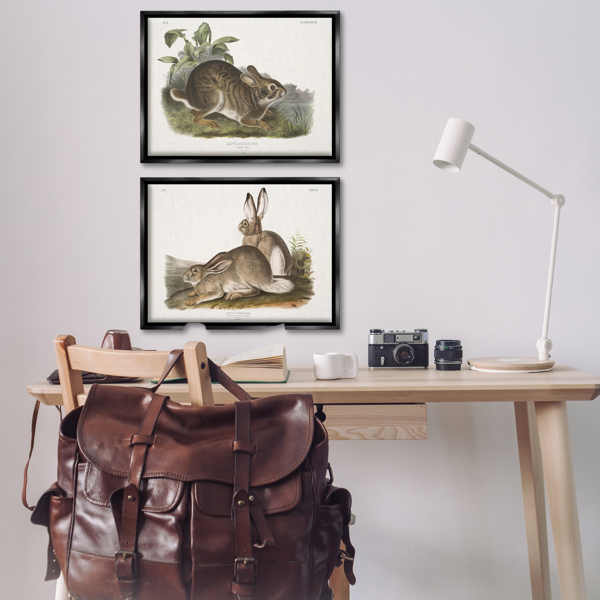 Stupell Industries Gentle Resting Cottage Rabbit Animals Painting Black Floater Framed Canvas Art Print Wall Art, 31 x 21, Set of 2