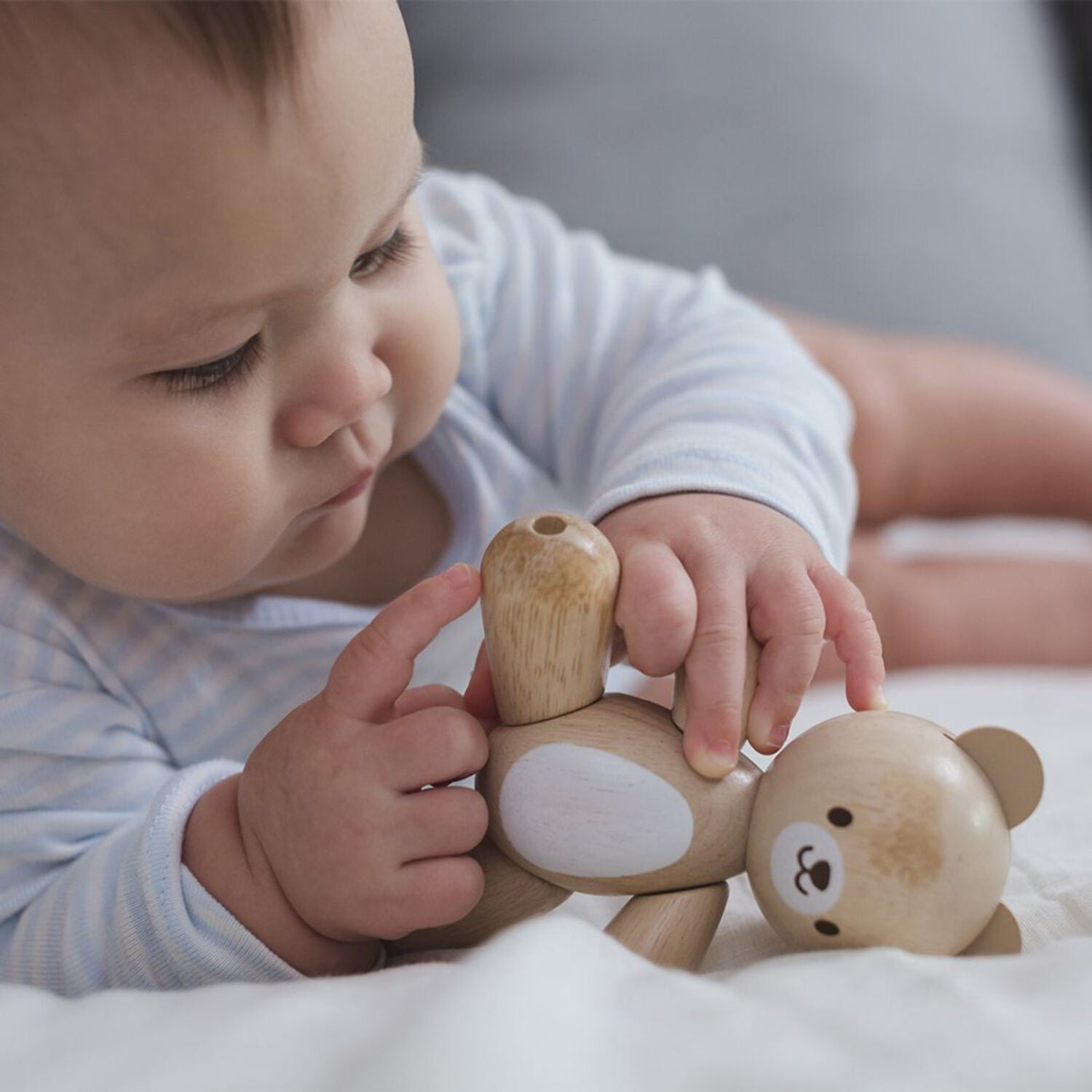 PlanToys Bear