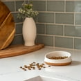 thumbnail image 5 of Harry Barker Slanted Modern Cat Bowls - 2 Pack, 5 of 6