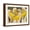 Brown Frame, variant on Art.com Flock of Great White Pelicans, Lake Nakuru, Kenya Photographic Print, 16" x 12"