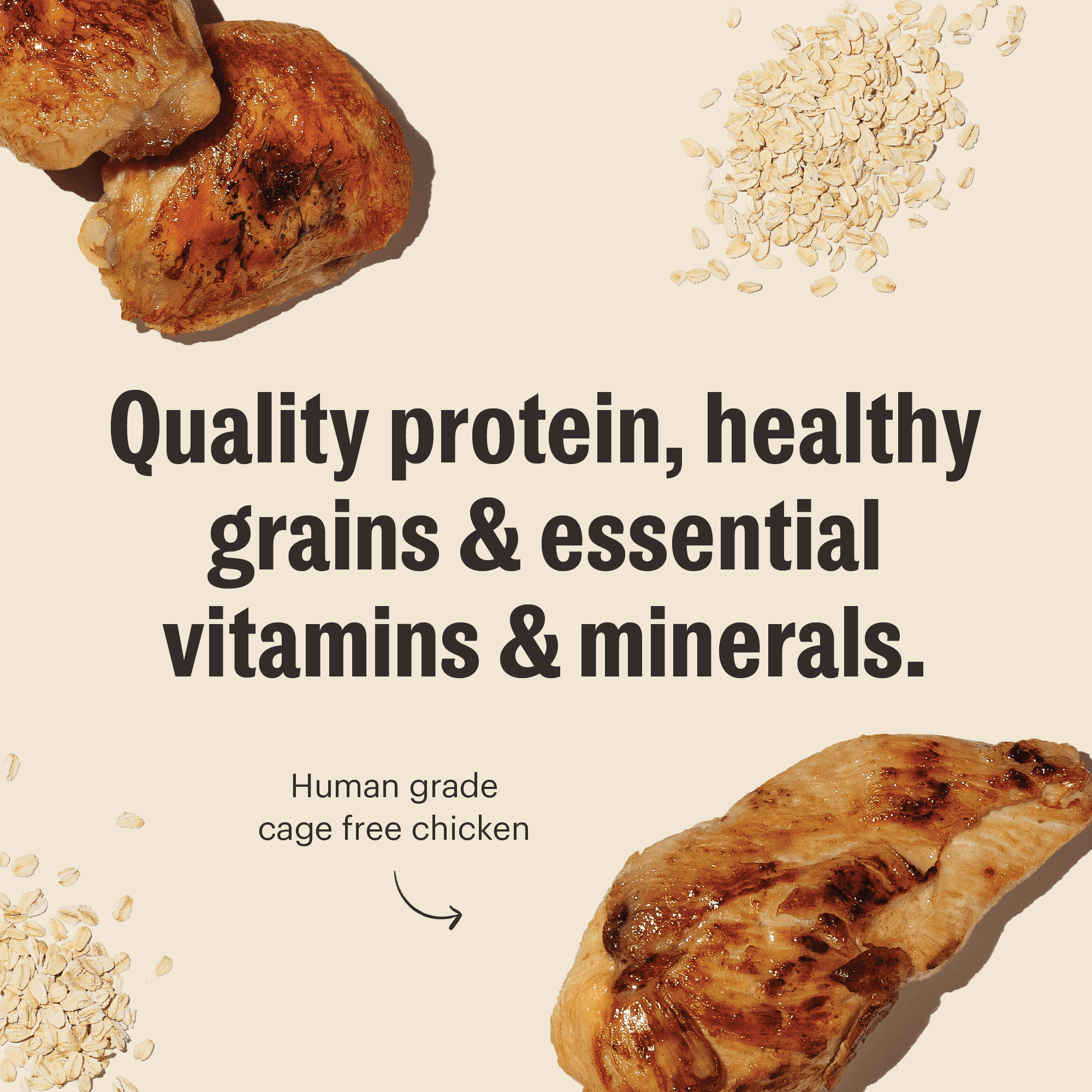 The Honest Kitchen Human Grade Essential Clusters Dry Dog Food Whole Grain Chicken Dry Dog Food 5 lb Bag