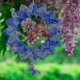 thumbnail image 4 of Wind Spinners Home Garden Decor, 3d Butterfly Metal Decoration, 4 of 5