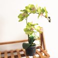 thumbnail image 4 of Cheers Artificial Phalaenopsis Flower Fake Plant Bonsai Home Office Shop Cafe Decor, 4 of 7