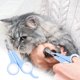 thumbnail image 3 of Fiudx Cortaúñas de Acero Inoxidable para Mascotas, Cortaúñas para Perros con Agarre Cómodo, Cortaúñas para Gatos con Protección de Seguridad, Cuchilla de Larga Duración, Herramienta de Aseo para Masc, 3 of 5