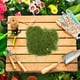 thumbnail image 5 of Musgo artificial para plantas en macetas, decoración de césped sintético para interiores, manualidades, terrario y jardín de hadas, musgo decorativo para centros de mesa, plantas artísticas, 5 of 6
