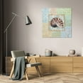 thumbnail image 3 of Paul Brent 26x26 Gallery Wrapped Canvas Wall Art Titled - Oceanic Shell Collage III, 3 of 4