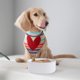 thumbnail image 5 of Laklulu Cuenco de cerámica para mascotas para gatos y perros pequeños,Plato de cerámica antideslizante para gatos para comida y agua, 5 of 5