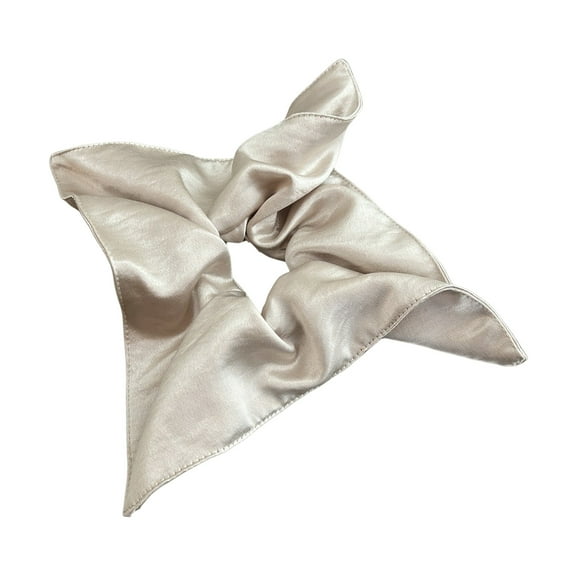 RUISINERY Ruched Hair Scrunchies Thick Oversized Hair Scrunchy Elegant Hair Rope Scrunchy Women Ponytail Holder
