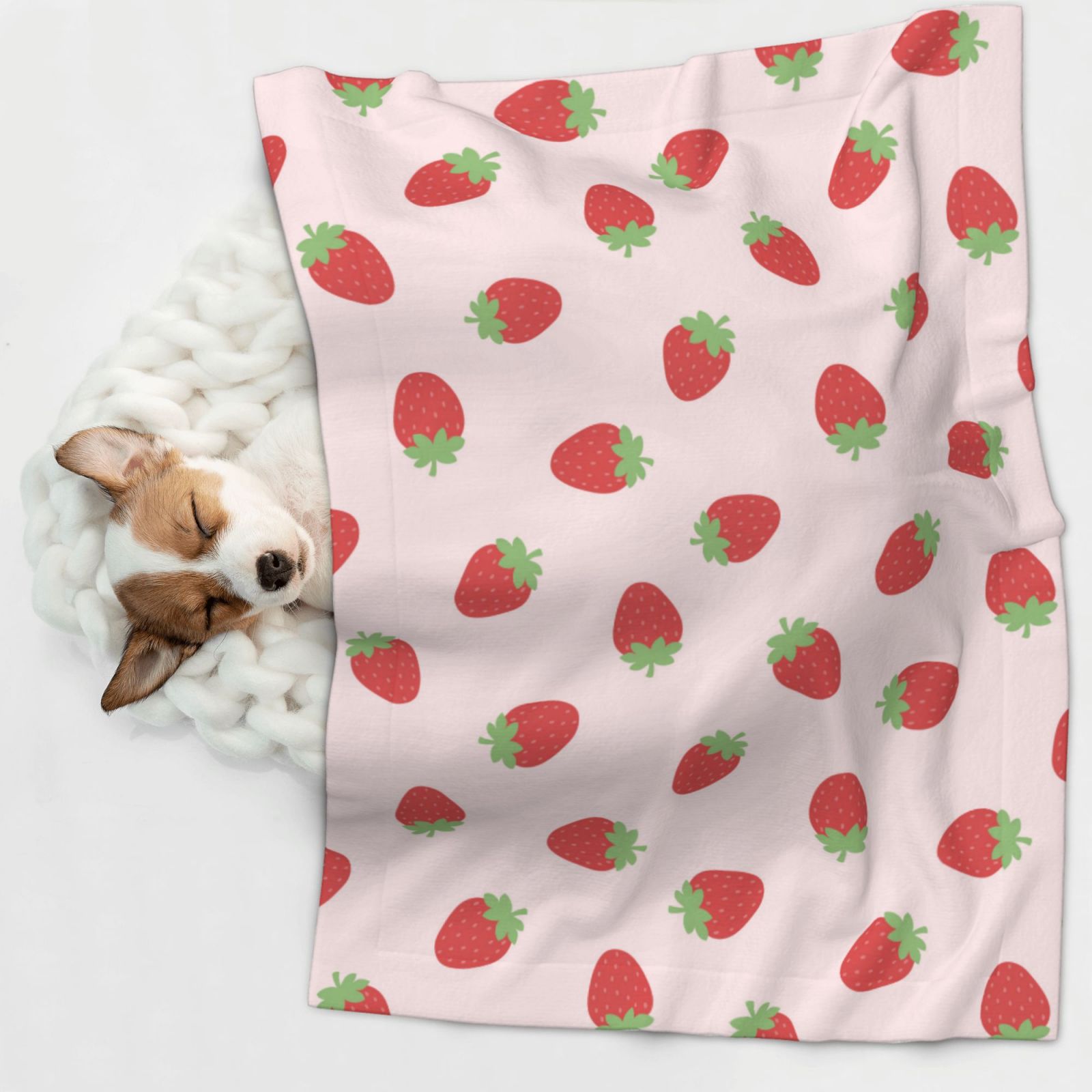 Naloa Strawberry Dog Blanket, 3 Sizes Cat Blanket for Indoor Cats Large Medium Small Dog Gifts-Large