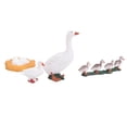 thumbnail image 1 of Growth Cycle Model,  Growth Cycle Model Toy, Long-Lasting For Kids Playing Science Lessons Education, 1 of 8