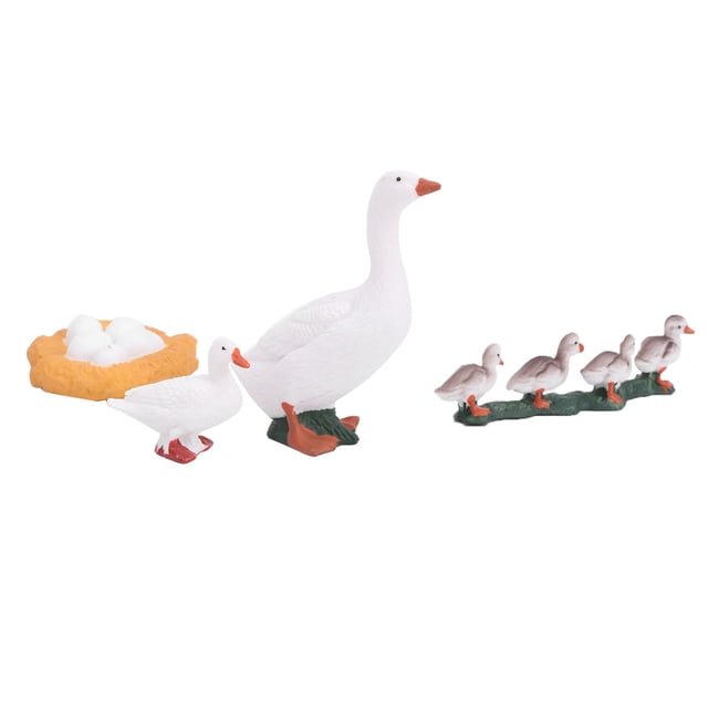 Growth Cycle Model, Growth Cycle Model Toy, Long-Lasting For Kids Playing Science Lessons Education