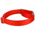 thumbnail image 6 of Country Brook Petz® Martingale Nylon Dog Collar & Double Handle Leash - Hot Orange - Large, 6 of 7