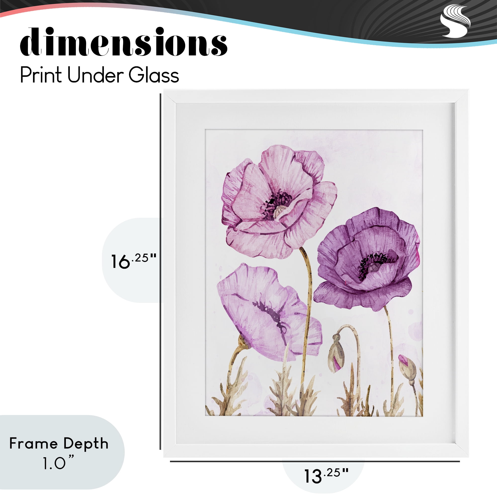 Stupell Industries Bright Poppies in Purple White Framed Print Under Glass, design by Kim Allen