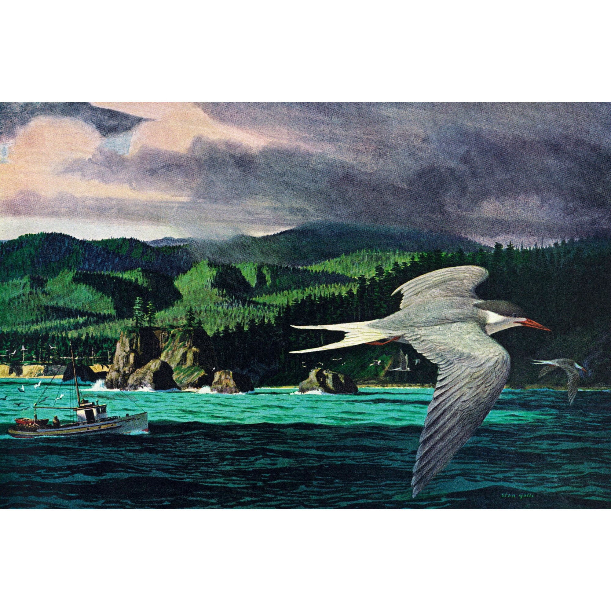 Marmont Hill "Terns in Flight" Painting Print on Wrapped Canvas