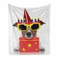 thumbnail image 1 of Birthday Party Soft Flannel Fleece Throw Blanket, Happy Party Dog with Sunglasses and Cone Hat Boxes Stars Image Print, Cozy Plush for Indoor and Outdoor Use, 50" x 60", Yellow and Red, by Ambesonne, 1 of 6