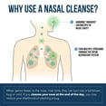 thumbnail image 3 of Triquetra Health Nasomin Nasal Cleanse, 3 of 9