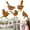 A, variant on 5pcs Birds With Screws Birds Garden Silhouette Decoration Decorative Metal Garden Yard Art Metal Birds Bird Ornaments Patio Yard