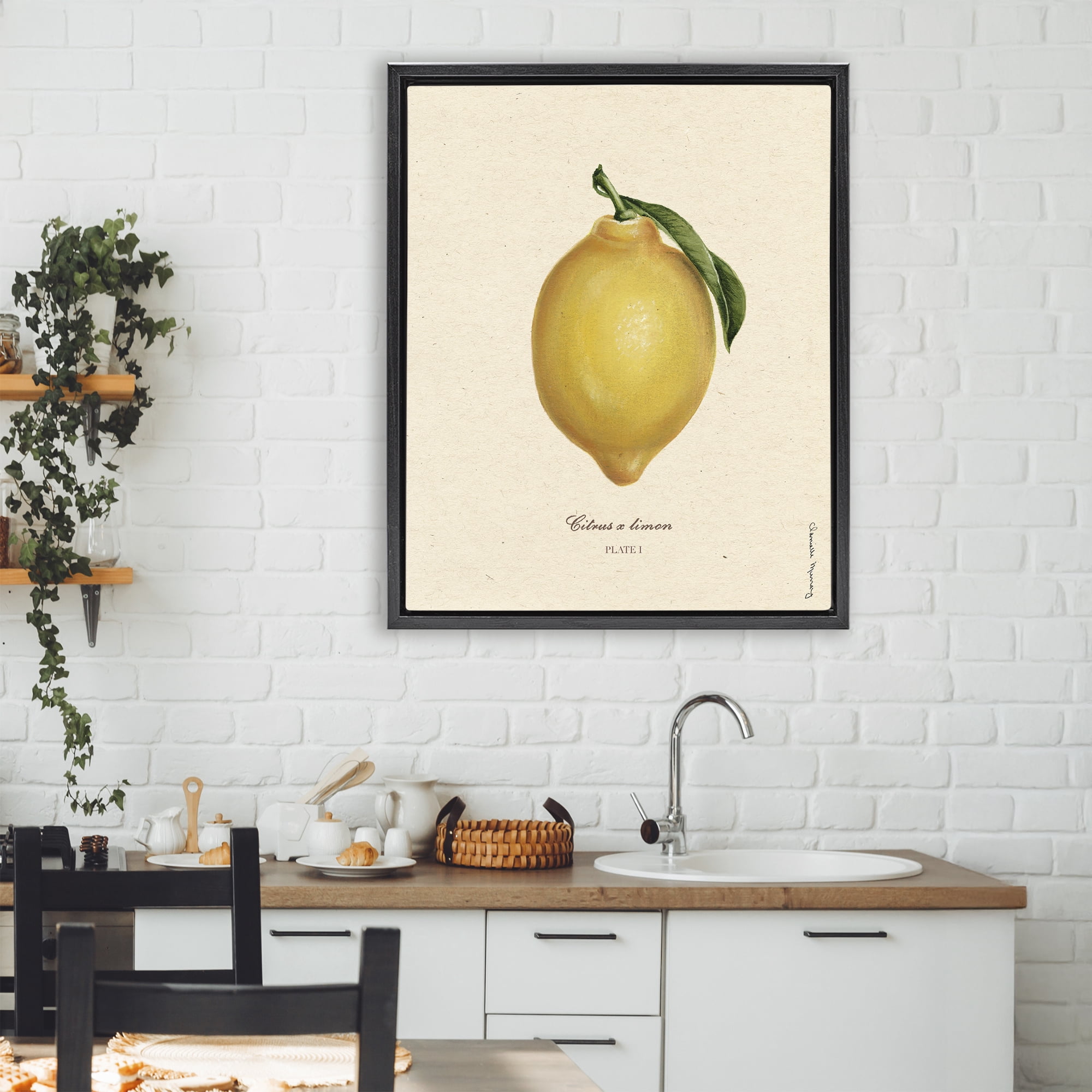Stupell Industries Lemon Fruit Portrait Black Framed Floater Canvas Wall Art, design by Danielle Murray