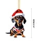 thumbnail image 3 of 1pc Christmas Hat Dog Dachshund Dog Christmas Tree Decoration Pendant Acrylic Flat Gift Decoration Pendant, 3 of 6