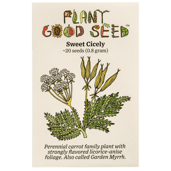 Plant Good Seed Sweet Cicely Seeds: Garden Myrrh, Sweet Chervil, 20 Seed Packet: Part Sun Perennial