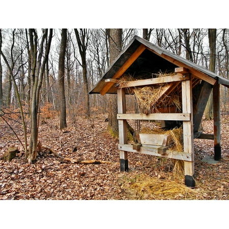 LAMINATED POSTER Pasture Hay Feeding Shed Forest Deer Poster Print 24 x (Best Way To Find Deer Sheds)