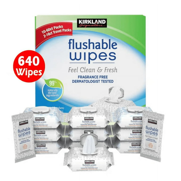 Kirkland Signature Moist Flushable Wipes, Disposable