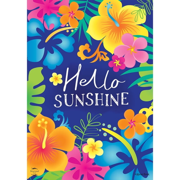 Briarwood Lane Spring Double Sided Garden Flag 12x18 For Outdoor Hello Sunshine For Spring Garden Flag Flags For Outside