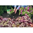 thumbnail image 4 of Miracle-Gro Quick Start Planting Tablets, Contains 20 No-Mess Tablets, 4 of 8